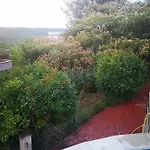 Complex Karia V