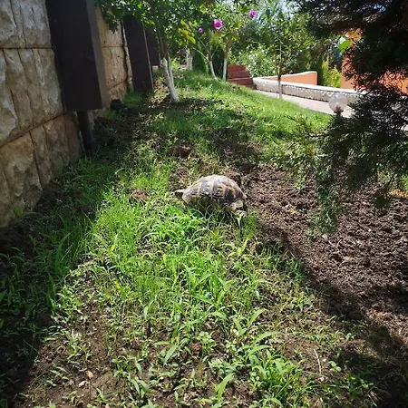 Complex Karia V * Kavarna