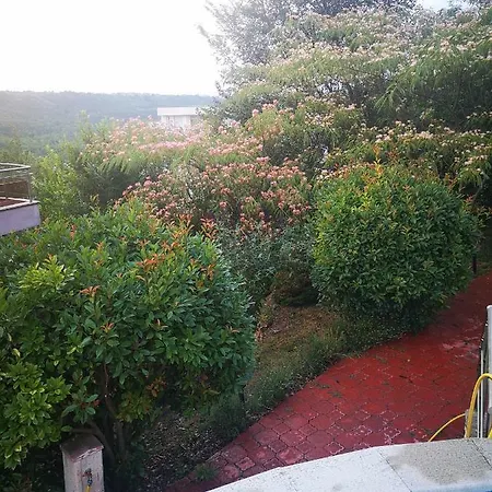 Complex Karia V